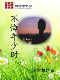 植物大战僵尸13